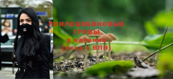 трава Балахна