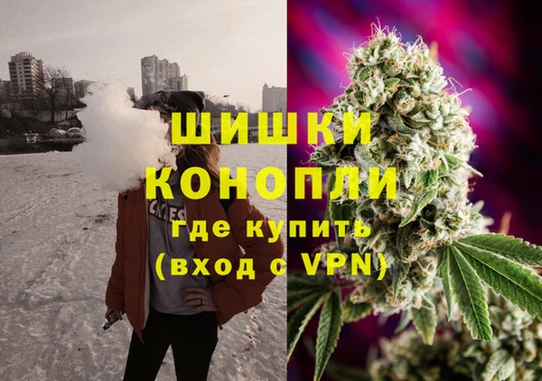 PSILOCYBIN Баксан