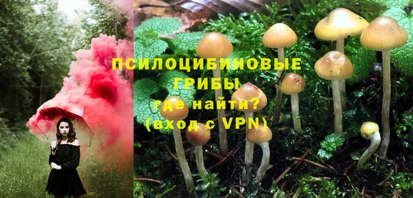 PSILOCYBIN Баксан